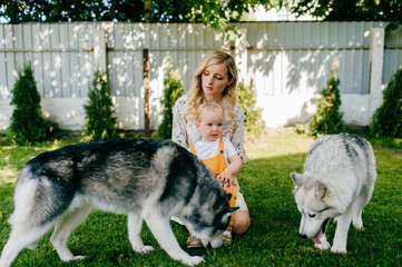 Wall Mural - Mother and son posing with two dogs in the garden