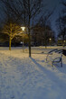 winter evening in the park