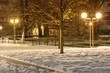 winter in the night park
