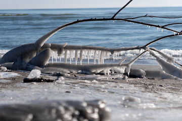 Ice tree