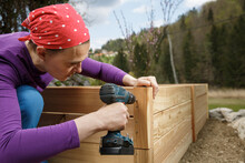 Woman Screwing Wooden Frame For A Raised Garden Bed.