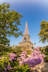 Fototapete - Eiffel Tower with spring trees against blue sky in Paris, France