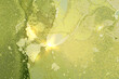 Bright lime green marble pattern with golden dust. Abstract vector background in alcohol ink technique. Modern paint with glitter. Template for banner, poster design. Fluid art painting
