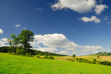 Wall Mural - landscape, view of green rolling fields
