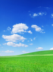 Wall Mural - idyllic view, green hills and blue sky with white clouds