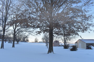 Wall Mural - Snow