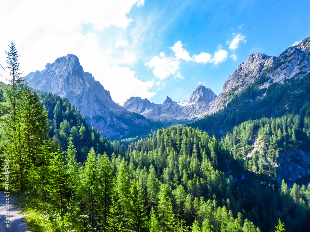 A lush green forest in an Alpine valley. There is a thick forest in front and a very tall chains of mountains. There is a small gravelled road on the side. Clear and bright day. Beauty in the nature - obrazy, fototapety, plakaty 