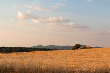 Beautiful couples, fields and landscapes of the Cordoba