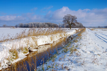 Sticker - Spreewald im Winter - Spreeforest in cold winter