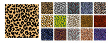 Set Of Animal Print Vector Patterns	