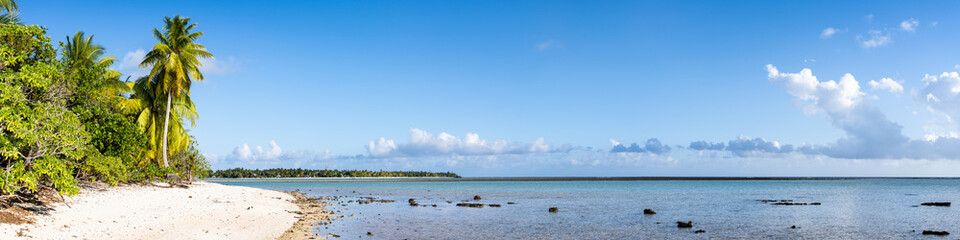 Wall Mural - tropical beach with palm tree as background panorama