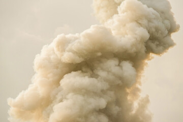Poster - Thick smoke
