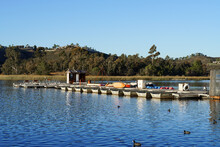 Wood Pier With Pedal Boat And Small Boat. Miramare Lake, San Diego, California, USA. 