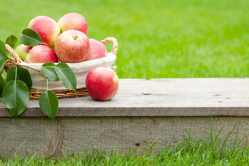 Canvas Print - Ripe garden apple fruits in basket