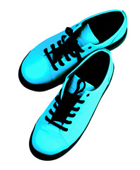 Luxury Blue Shoes