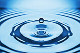 Fototapeta Niebo - The round transparent drop of water, falls downwards...