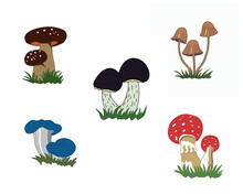 A Set Of Illustrations Of Mushrooms Isolated On A White Background. Pixie Caps, Amanita Muscaria, Black Amanita, Oyster Blue Slocking, King Bolete. Vector EPS10.
