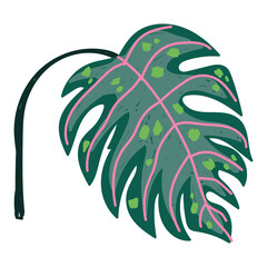 Poster - monstera leaf tropical exotic foliage cartoon isolated