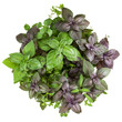 Fresh spices and herbs bouquet isolated on white background cutout. Sweet basil, red basil leaves, marjoram and thyme bunch. Top view.