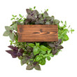 Wooden burnt board over various sweet basil herb leaves background. Healthy food concept. Top view with copy space.