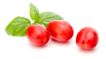 Wall Mural - fresh plum tomato with basil leaf isolated on white background