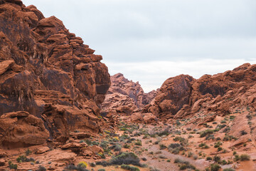 Canvas Print - Beautiful red rock formations at Valley of Fire, Nevada