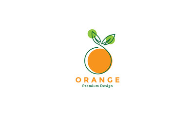 Wall Mural - orange fruit line art colorful logo design vector icon symbol illustration