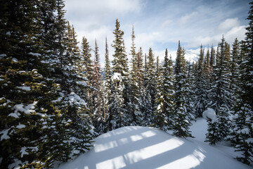 Wall Mural - Beautiful landscape in Banff national park in Winter. Banff national park, Alberta, Canada