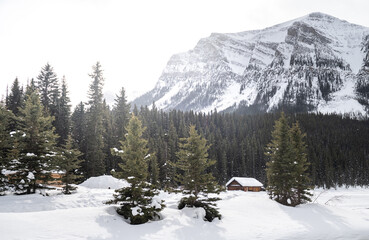 Wall Mural - Beautiful landscape in Banff national park in Winter. Banff national park, Alberta, Canada