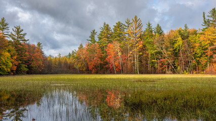 Wall Mural - Awesome evening light in autumn over a marsh pond near Pete’s Lake Campground 	in the Hiawatha National Forest – Michigan Upper Peninsula 