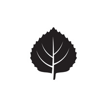 Aspen Leaf Icon Symbol Sign Vector