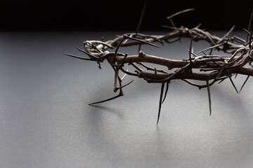 Canvas Print - close up crown of thorns on black background