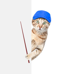 Poster - Cat wearin a blue cap holds a pointing stick and points on empty white banner. isolated on white background