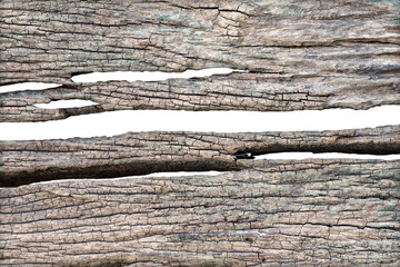 Wall Mural - Texture of old wood plank use for background.