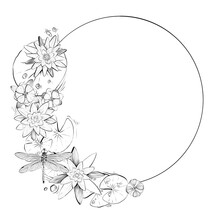 Digital Illustration Of Lily Flowers. Frame Design. Line Art