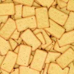 Canvas Print - Biscuit Texture Closeup 