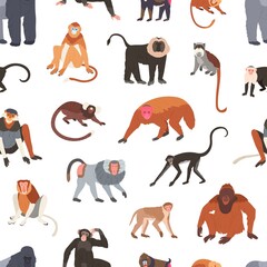 Poster - Seamless pattern with different species of monkeys apes, baboons, chimpanzees and macaques. Endless backdrop with tropical jungle animals. Colorful flat vector illustration on white background