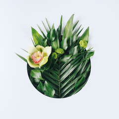 Wall Mural - Creative minimal arrangement with green palm leaves and orchid flower on bright white background. Creative nature or spring bloom concept. Flat lay, top view.