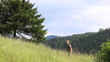 Cute Young White Boy Walking To Top Of Mountain In Summer Scenic Landscape. Child Climbs Alone On Grassy Hill. Active Summer Vacations And Happy Traveling Concept