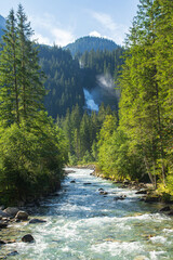 mountain river in the forest with waterfall