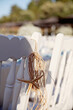 Details of a wedding at the beach
