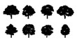 © Terd486 - Set of silhouette design of trees with black color on isolation style for graphic designer