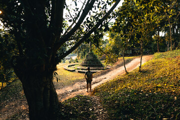 Man hiking in nature green forest and pagoda