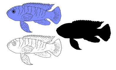 Wall Mural - Vector set of pseudotropheus fish, sketch hand-drawn black outline, black silhouette and purple coloring isolated elements are an excellent design for any purpose
