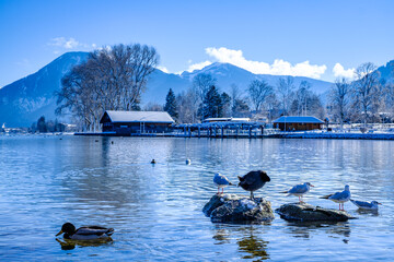 Canvas Print - landscape at the Tegernsee lake - Bad Wiessee