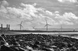 Wind turbines along the River Severn Estuary towards Avonmouth