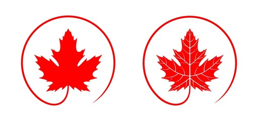 Wall Mural - Maple leaf logo. Isolated maple leaf on white background