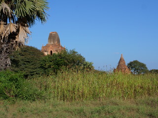 BAGAN, MYANMAR - november 2019: ruins of Buddhist temples in Bagan 