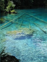 Submerged Tree Trunks And Rocks In The Turquoise Blue Waters Of Blausee, Switzerland