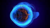 3d render of male human eye anatomy.
